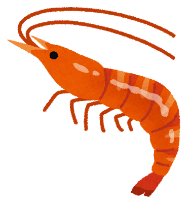 つやつやに輝いている、真っ赤な海老（えび）のイラストです