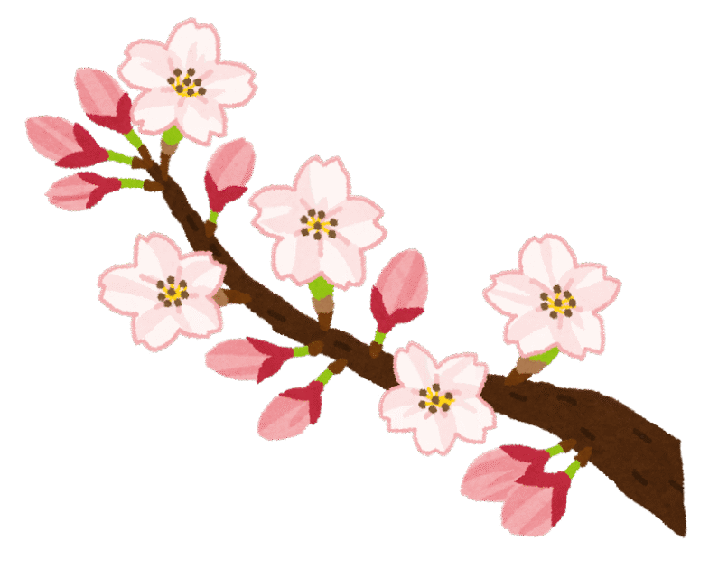 桜の開花。桜の木から、ぽつぽつと花びらが開き始めている。