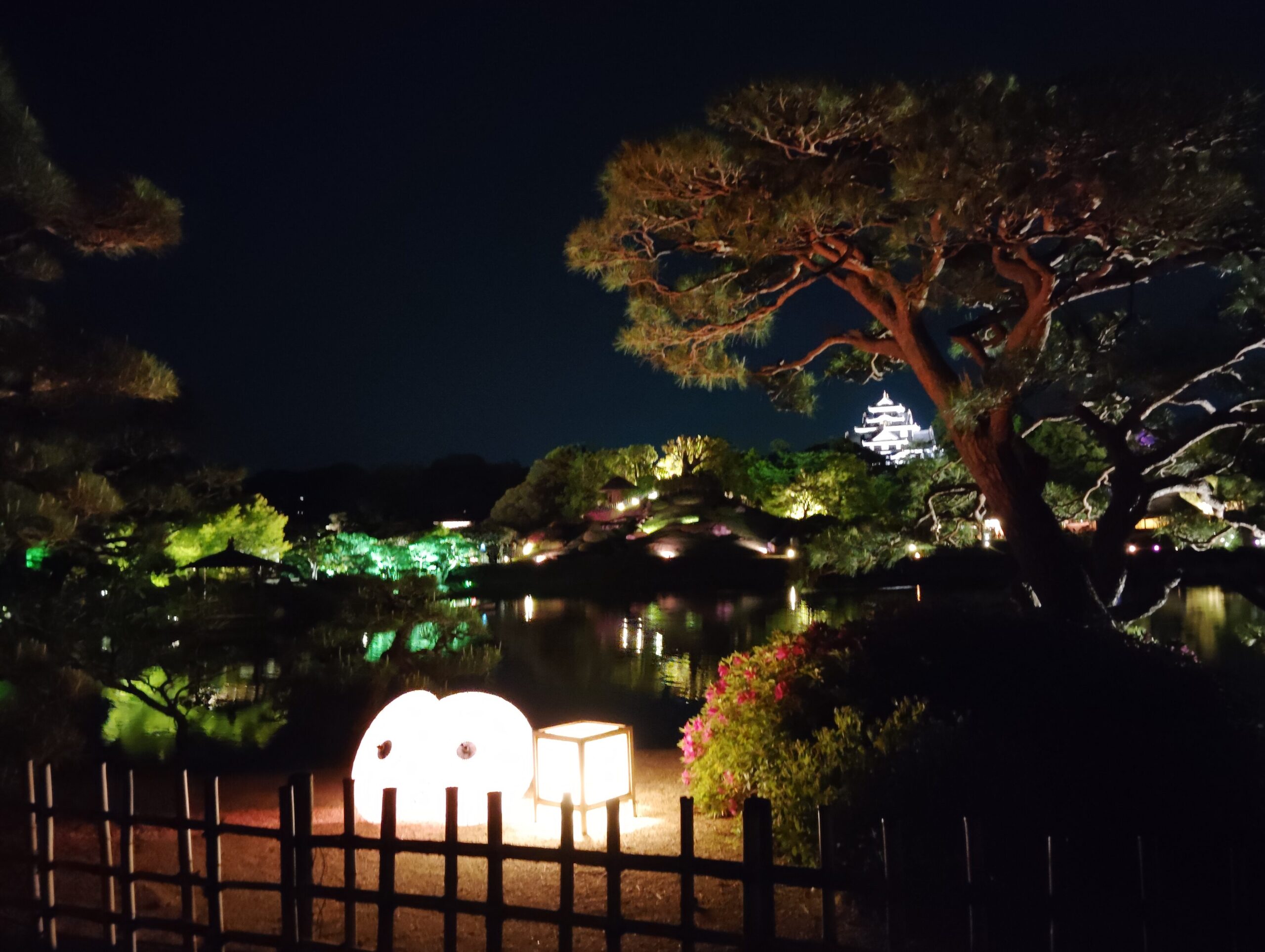 岡山後楽園内。ライトアップされた唐傘。