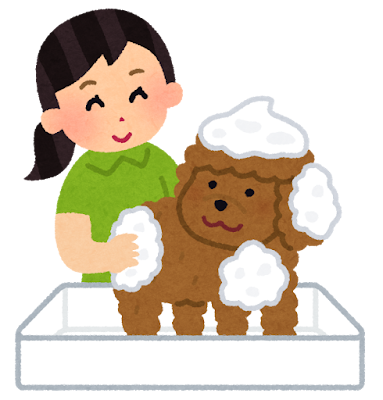 女性が、犬のシャンプーをしている。