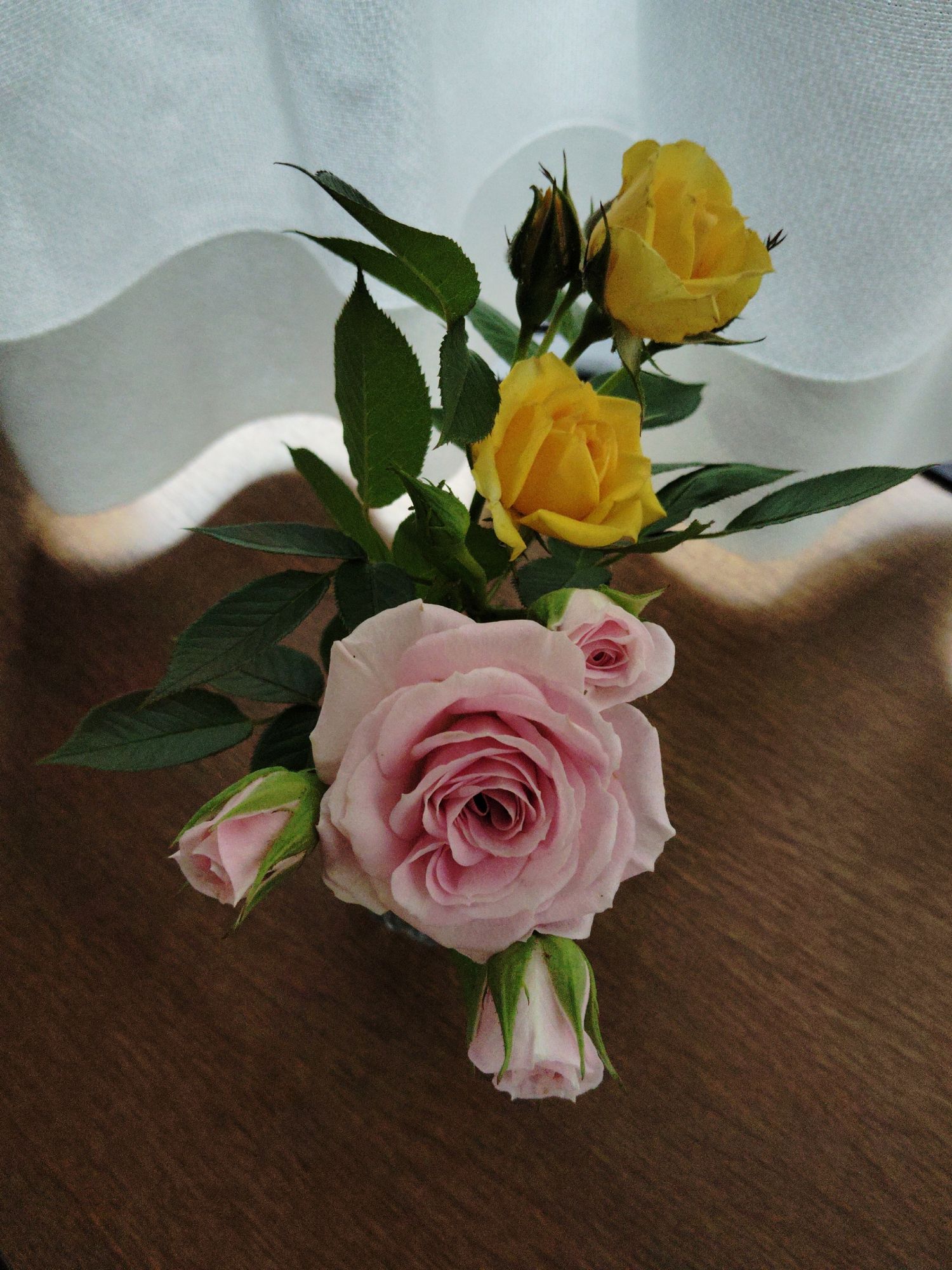 窓辺にピンク色と黄色のバラの花