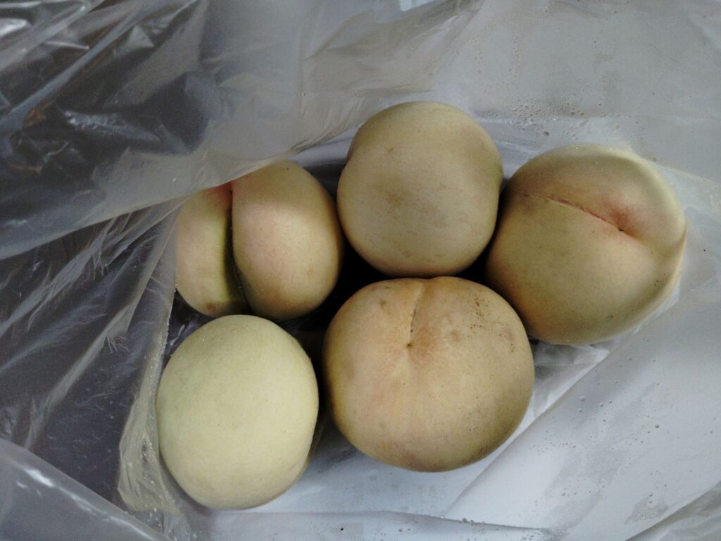レジ袋に入った桃。5個入り。買って帰って野菜室に入れていたので、汗かいて(結露して)います。