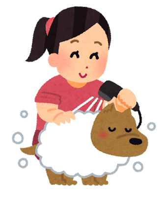 ペットの犬にシャンプーをして体を洗っている女性のイラストです。