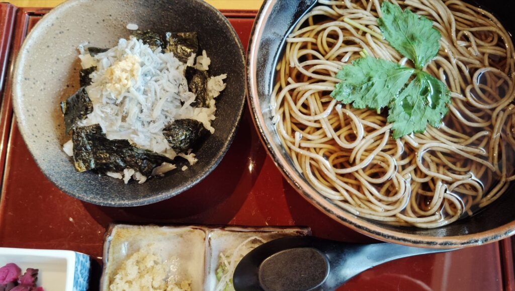 温かいそば(三つ葉)。ねぎ、天かす。シラス丼(すりおろししょうが、海苔)。柴漬け。
