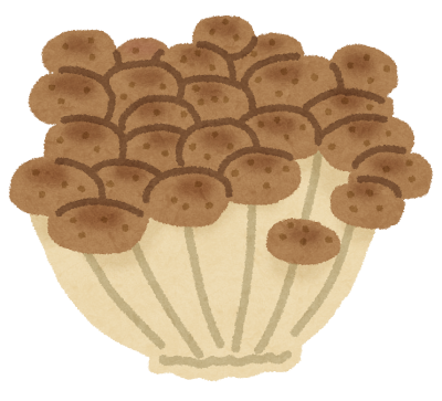 しめじのイラスト（茸）