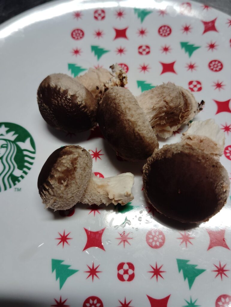 間引いたしいたけ