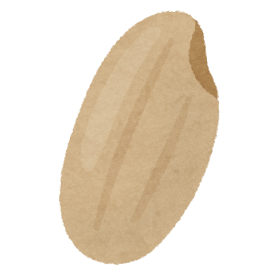 籾殻を外したお米、玄米のイラストです。